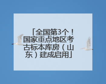 全国第3个！国家重点地区考古标本库房（山东）建成启用